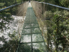 Costa Rica_Im Reservat Tirimbina_Hängebrücke über den Rio Sarapiqui