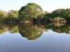 Brasilien_Im Pantanal_Gebiet Rio Mutum