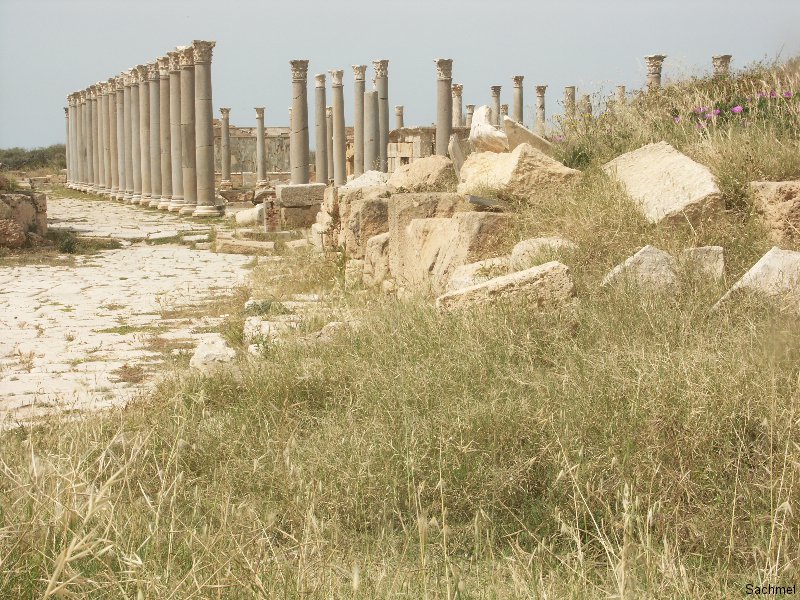 Leptis Magna_Porticus post scaenam