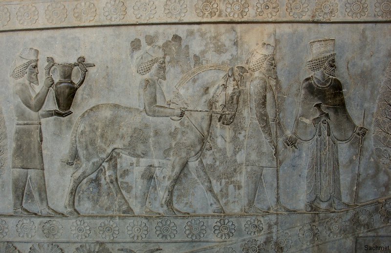 Persepolis - Apadana - Armenier