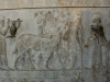 Persepolis - Apadana - Armenier