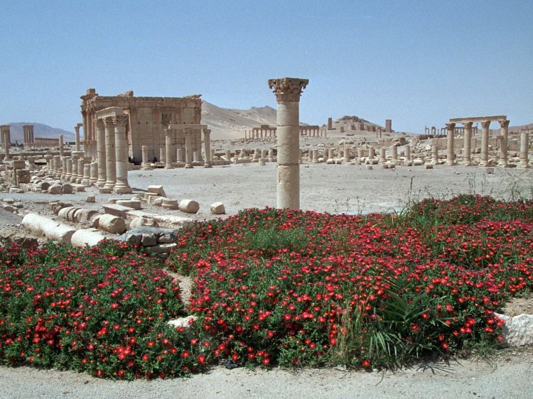 Palmyra - Tempel des Nabu