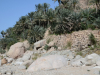 Oman_Oase Tiwi