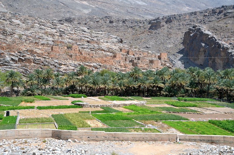 Oman_Wadi Ghul