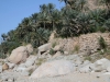 Oman_Oase Tiwi