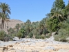 Oman_Oase Wadi Bani Khalid